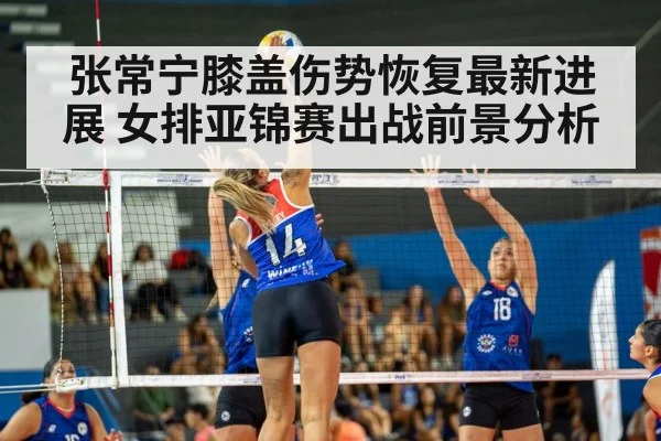 volleyball match action indoor - kaiyun