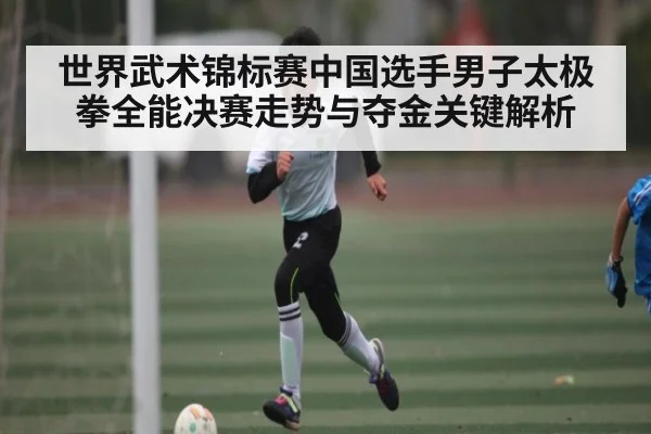 世界武术锦标赛中国选手男子太极拳全能决赛走势与夺金关键解析 - kaiyun
